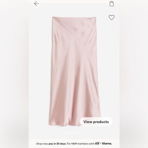 Satin Skirt NWT